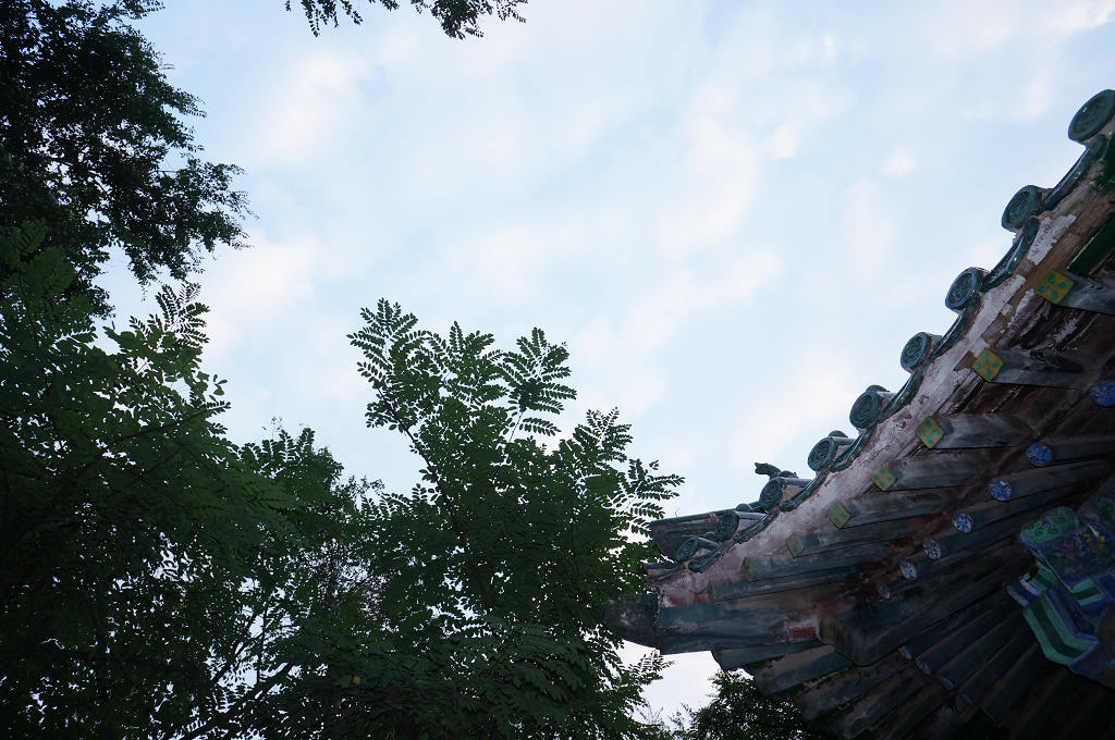 和谐园[原创]