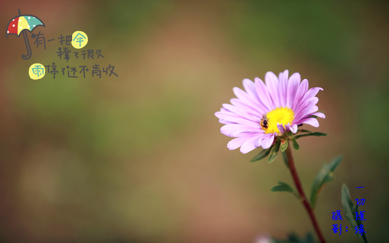 随拍