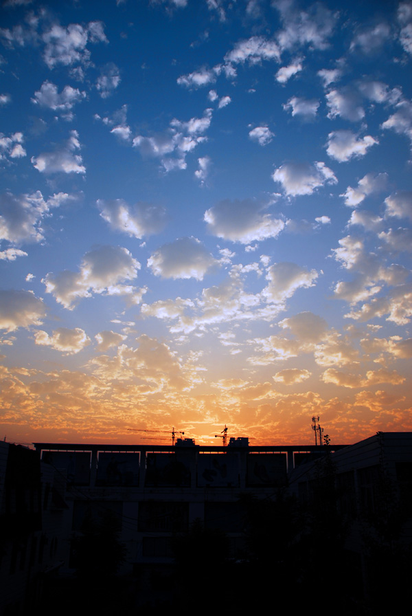 油城夕阳红