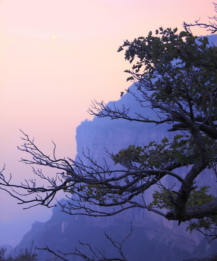 [原创]天界山风光