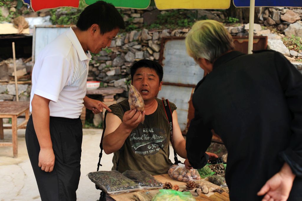 河南天界山采风花絮