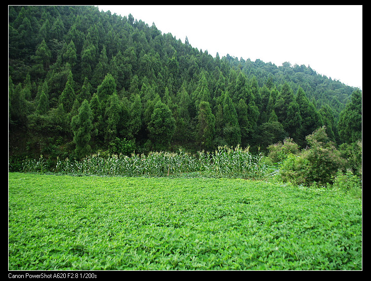 追行三峡