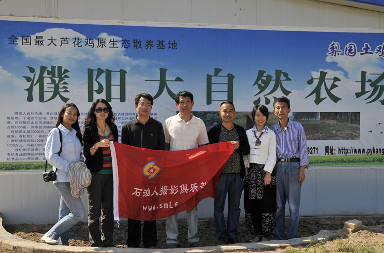 散养土鸡是战斗鸡