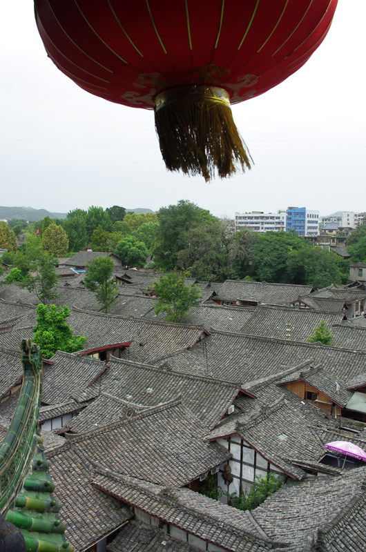 西南归来汇报帖【阆中古城、峨眉山、乐山】