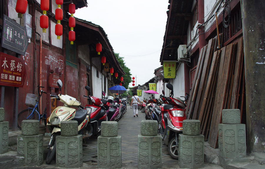 西南归来汇报帖【阆中古城、峨眉山、乐山】