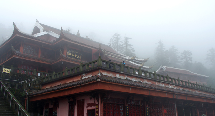 西南归来汇报帖【阆中古城、峨眉山、乐山】