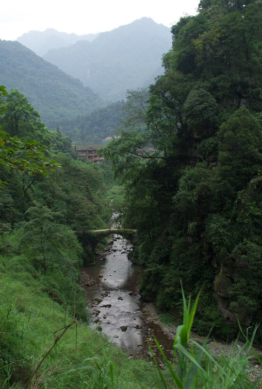西南归来汇报帖【阆中古城、峨眉山、乐山】
