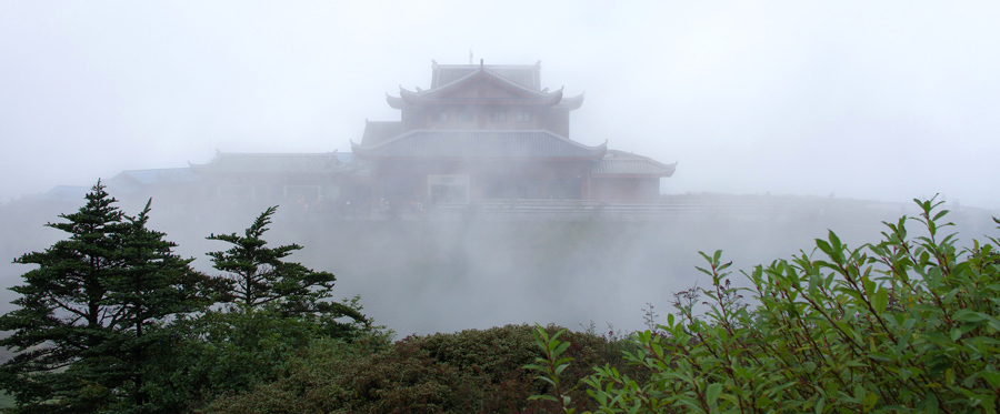 西南归来汇报帖【阆中古城、峨眉山、乐山】