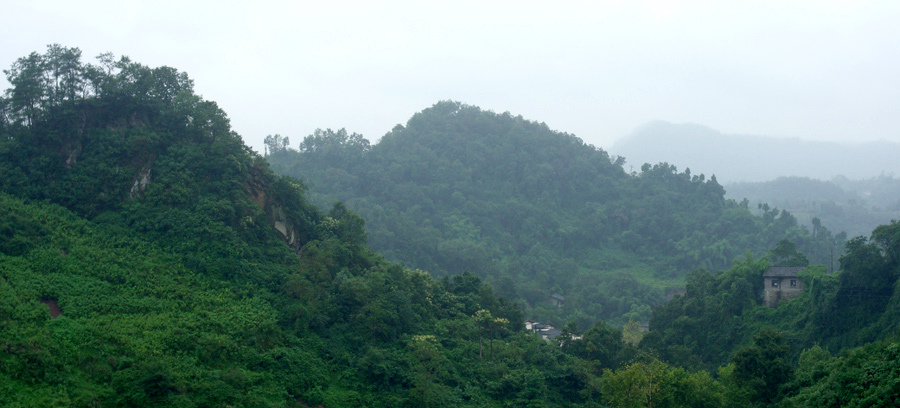 西南归来汇报帖【阆中古城、峨眉山、乐山】