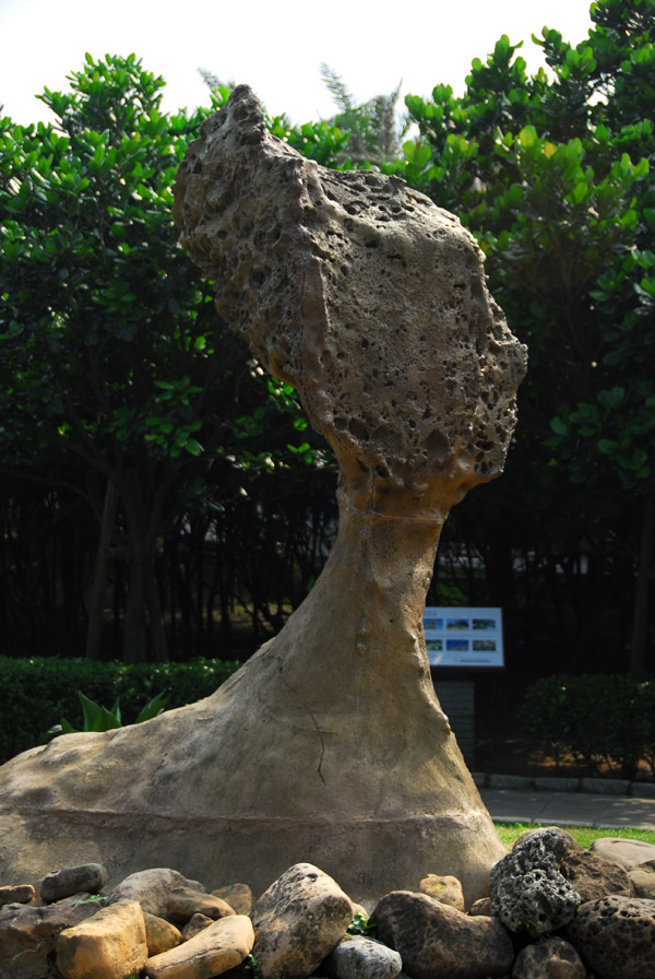 石头与根