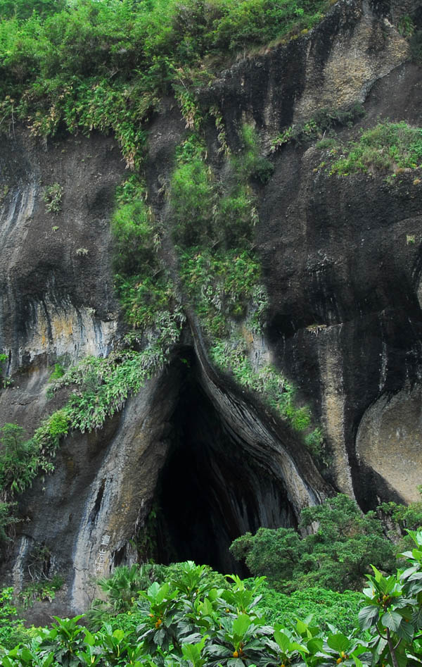 石头与根