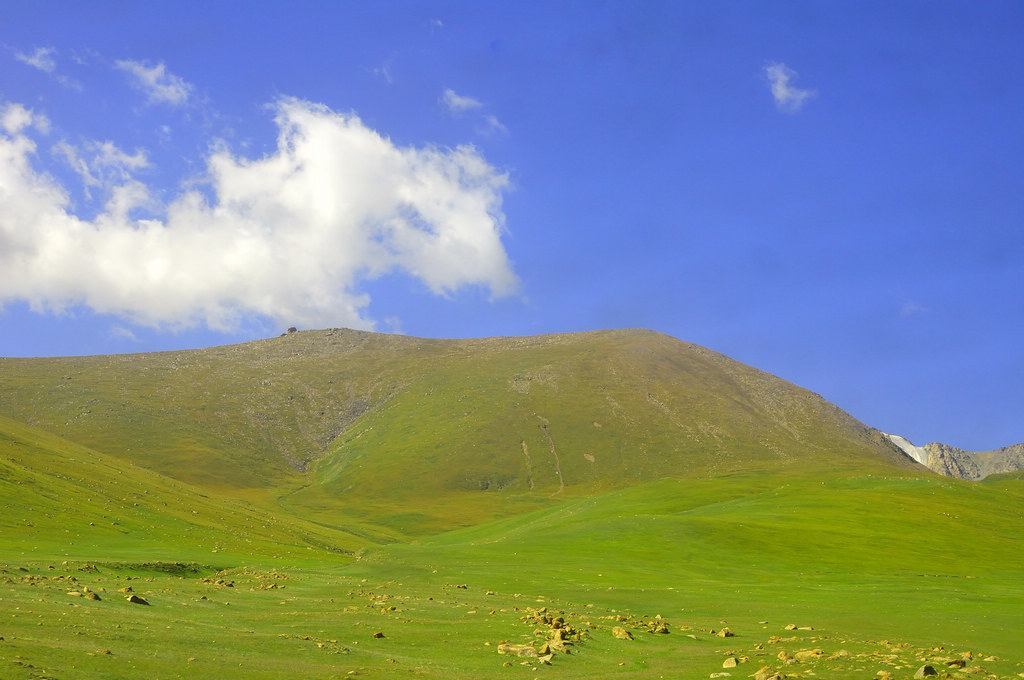 奔驰在山里