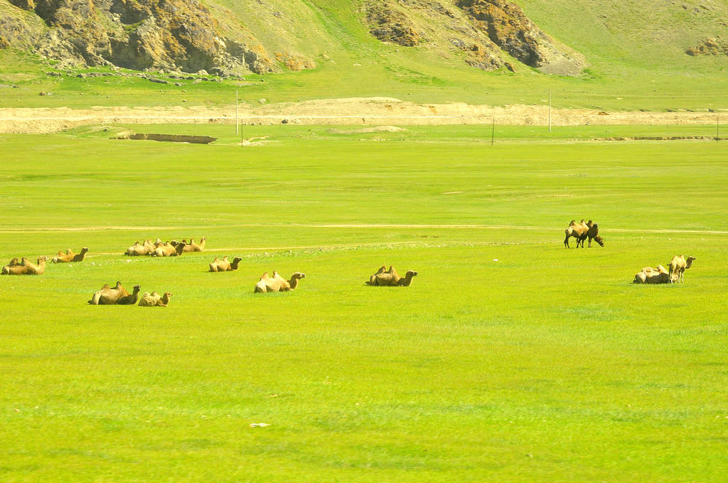 奔驰在山里