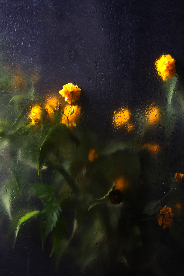 花非花