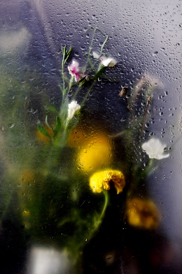 花非花