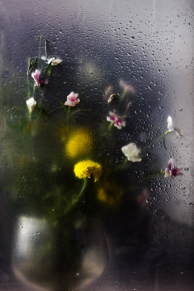 花非花