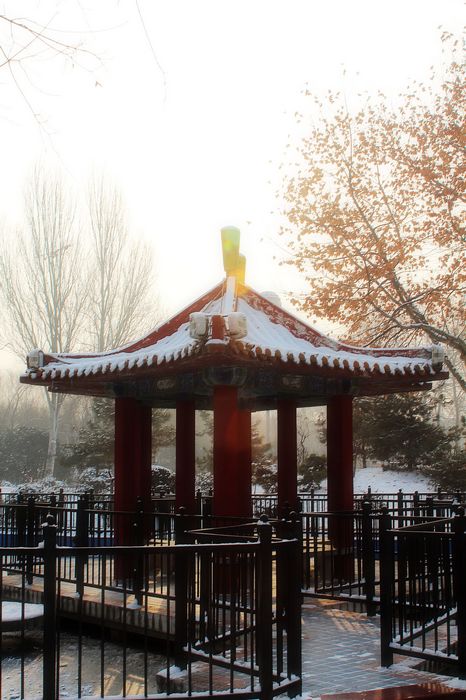 雪后晨光