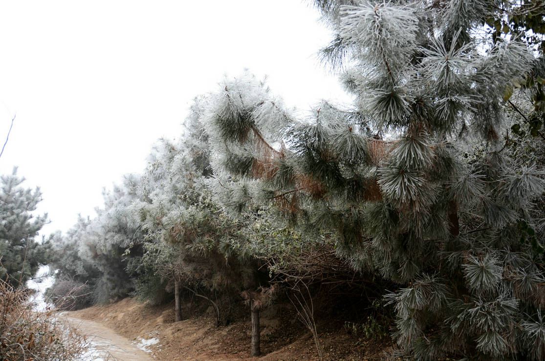 雾蒙蒙 静悄悄
