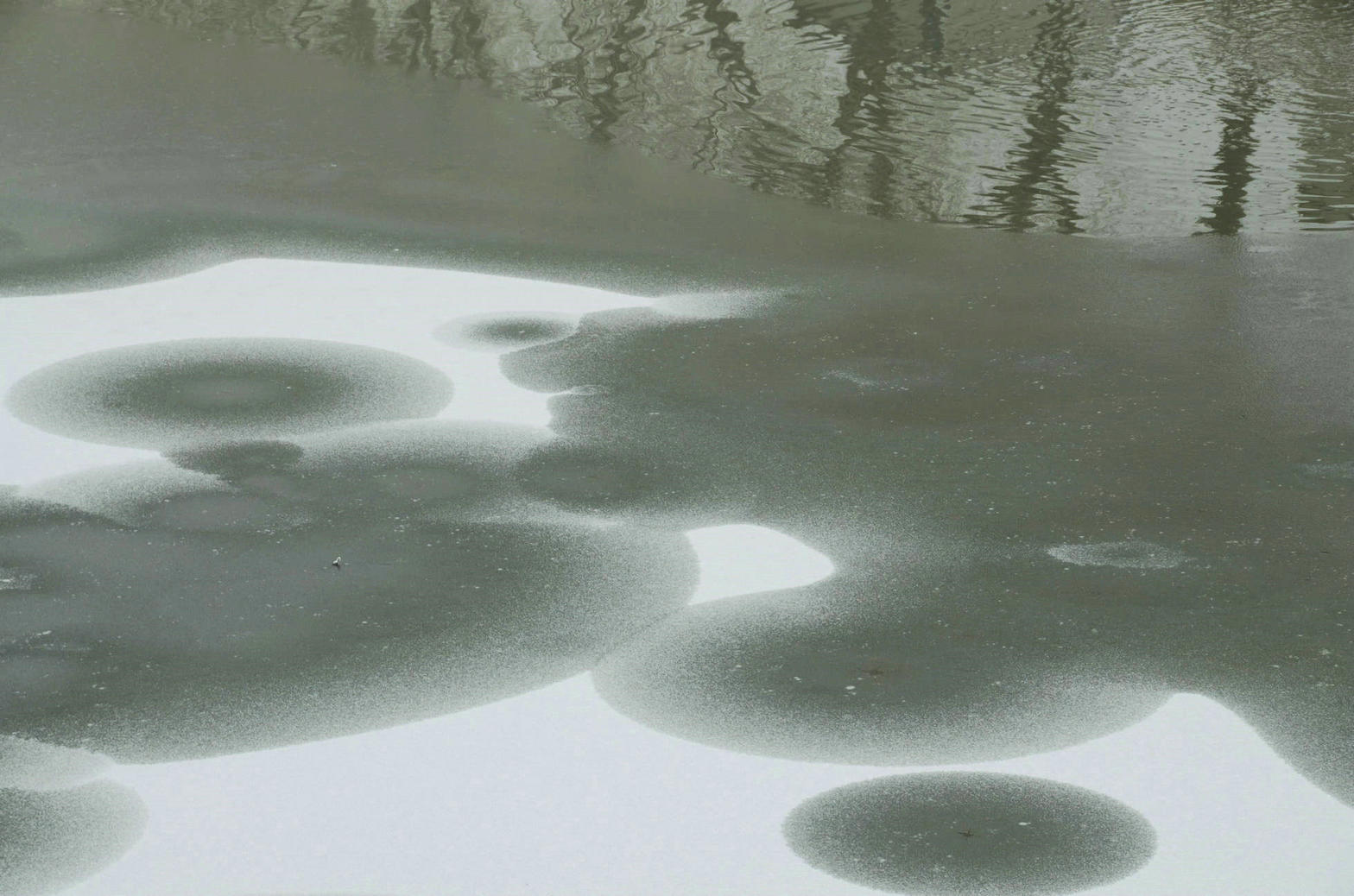 雾蒙蒙 静悄悄