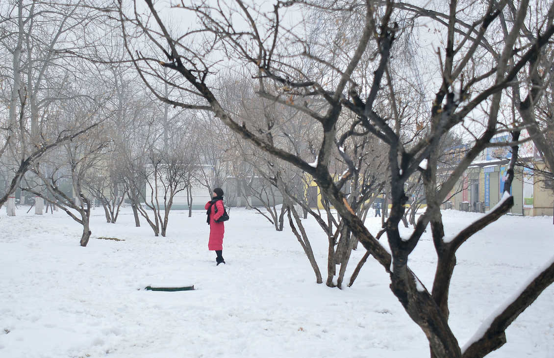 雪后小景