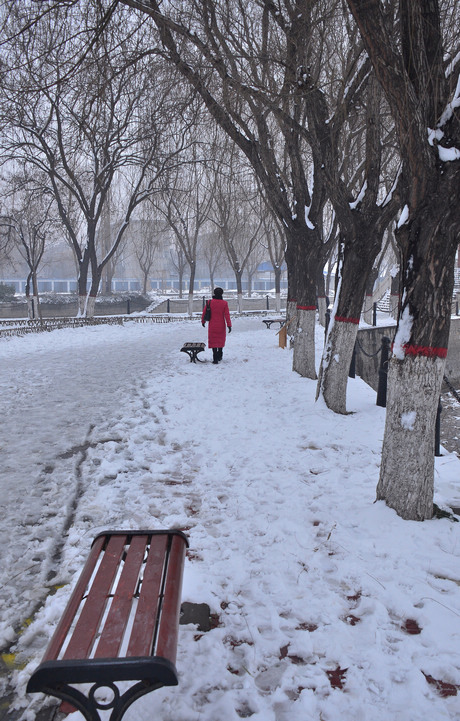 雪后小景