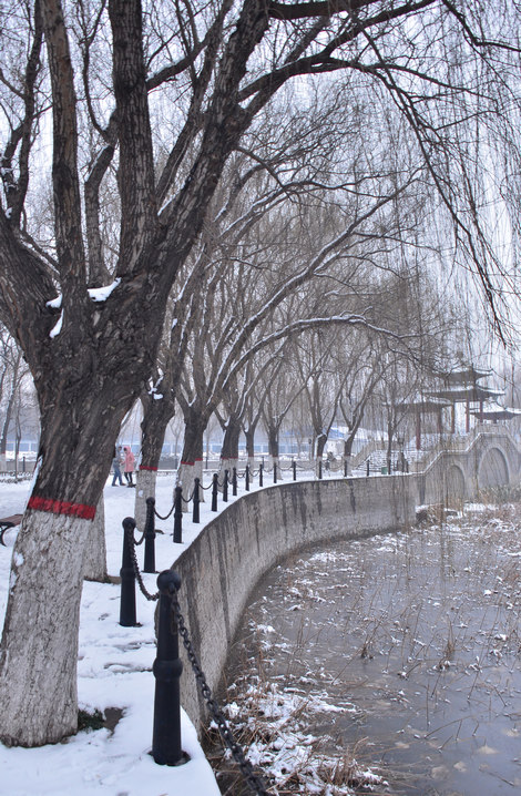 雪后小景