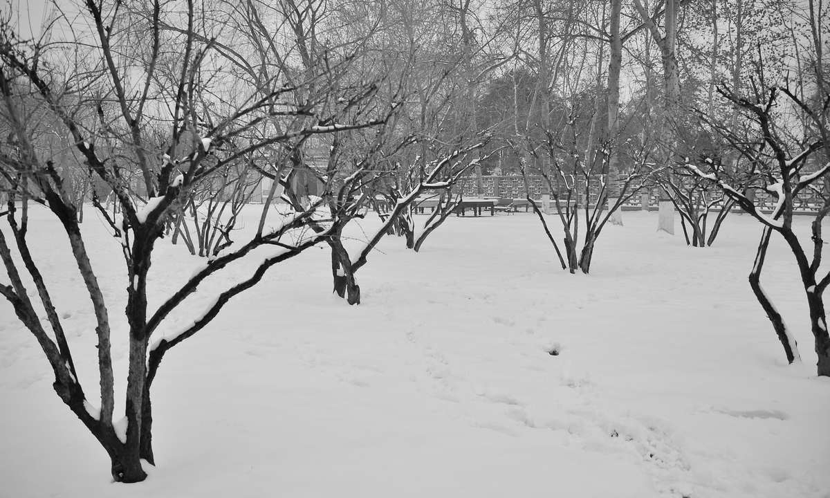 雪后小景