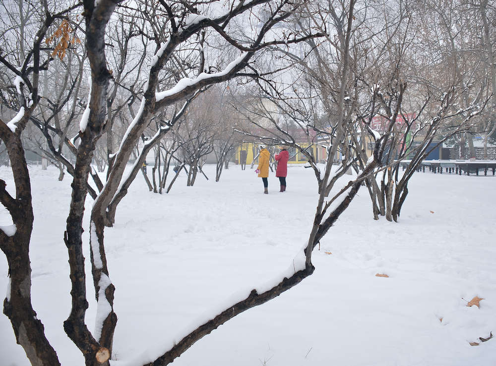 雪后小景
