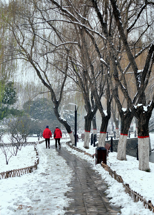 雪后小景