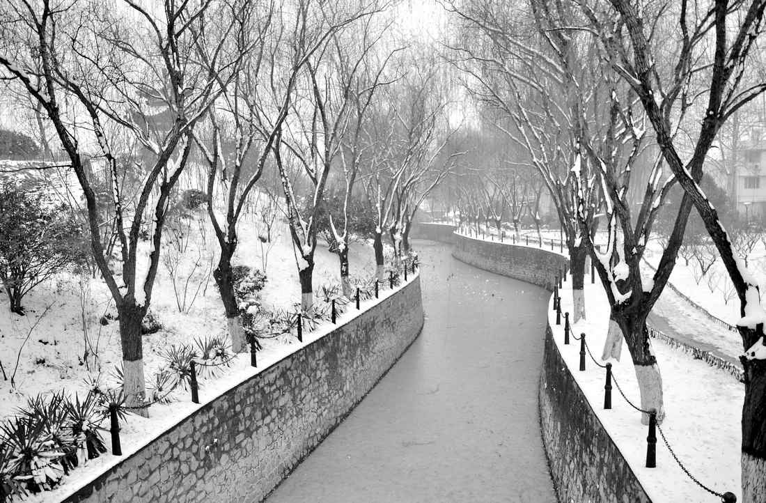 雪后小景