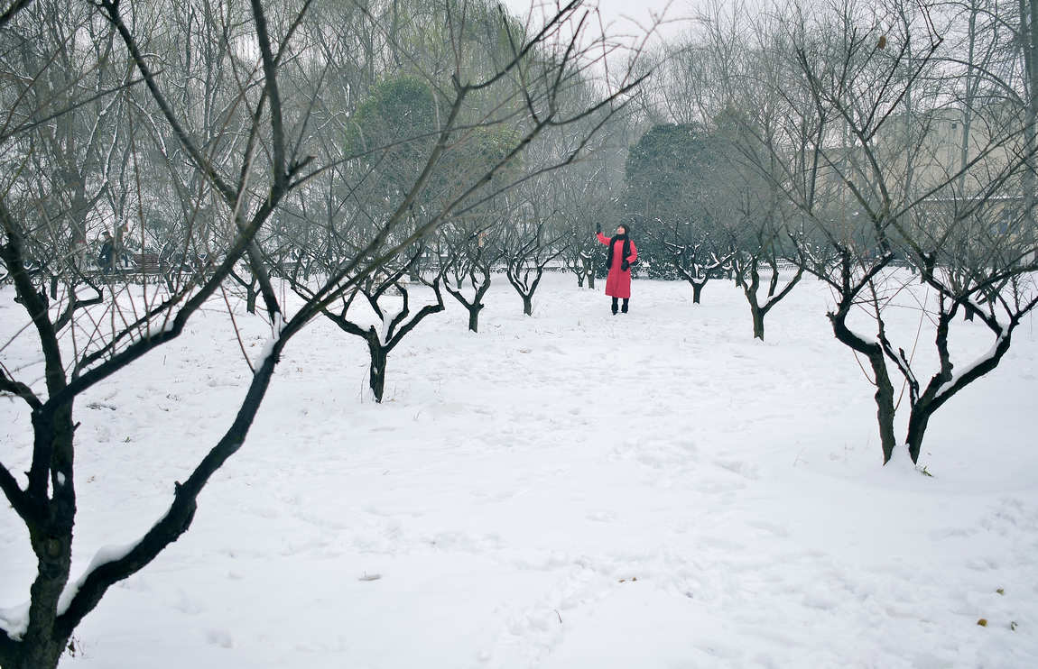 雪后小景