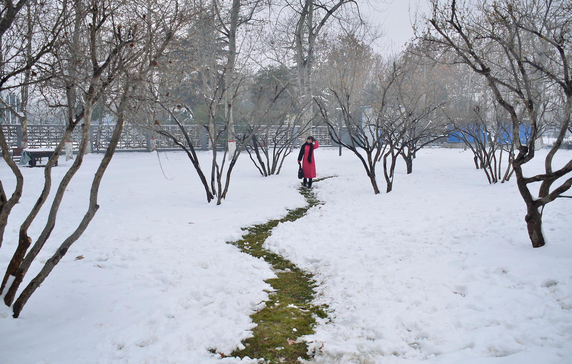 雪后小景