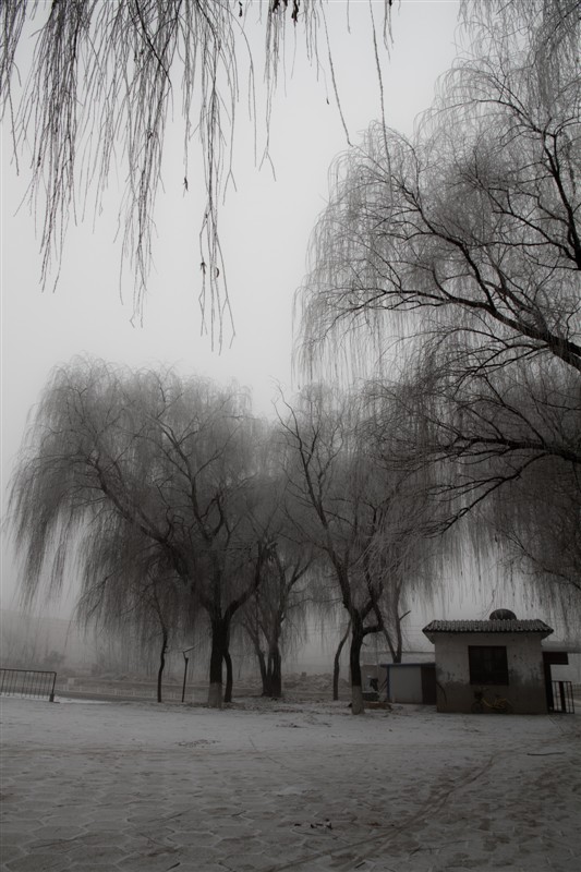 水墨戚城