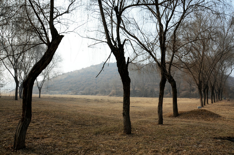 正午游西山