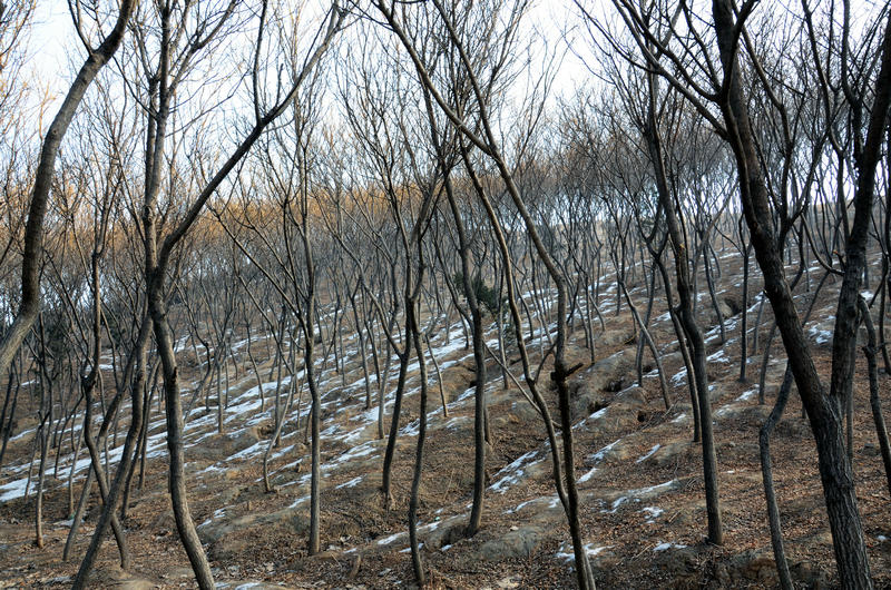 正午游西山