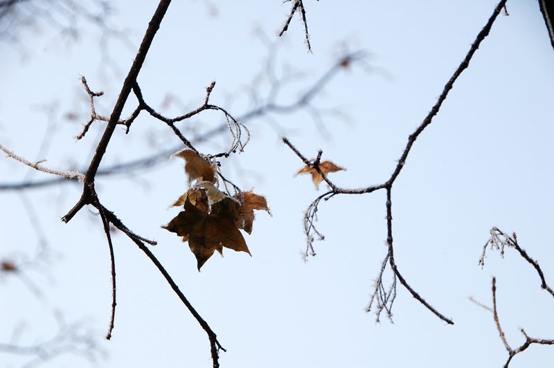 雾锁戚城