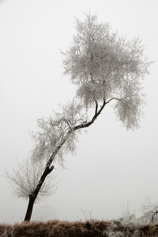 雾锁戚城
