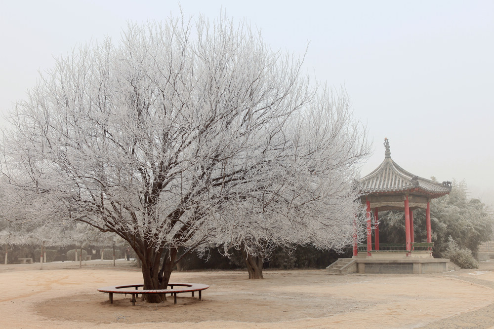 雾中小景