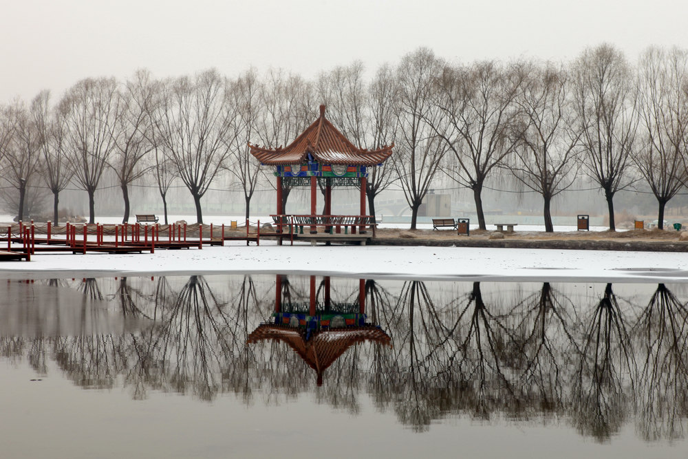 雾中小景