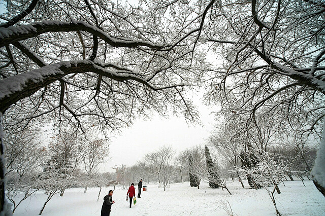 大寒 那场雪