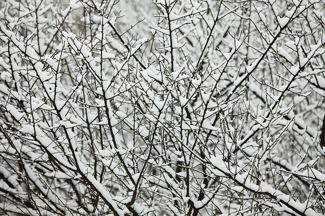 大寒 那场雪