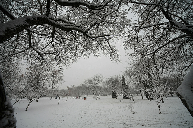 大寒 那场雪
