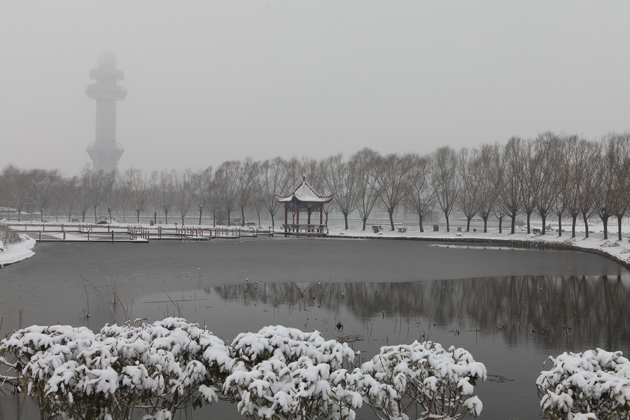 濮上园的雪景也很美