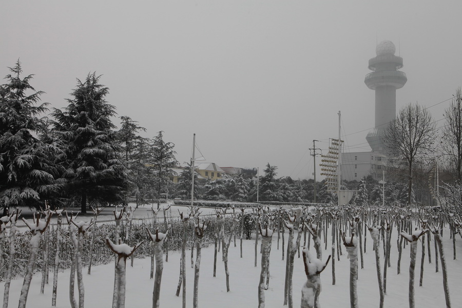 濮上园的雪景也很美