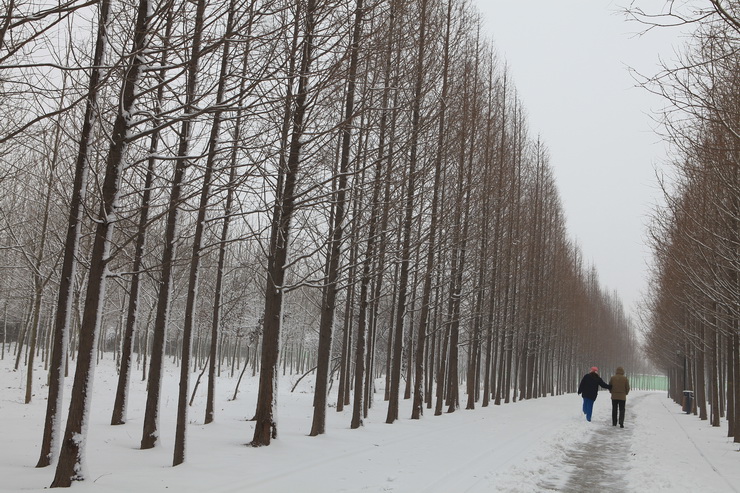 濮上园的雪景也很美
