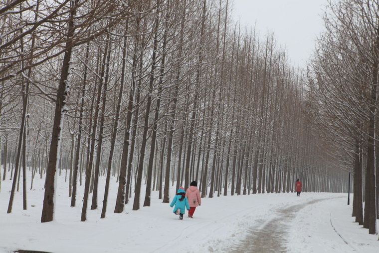 濮上园的雪景也很美