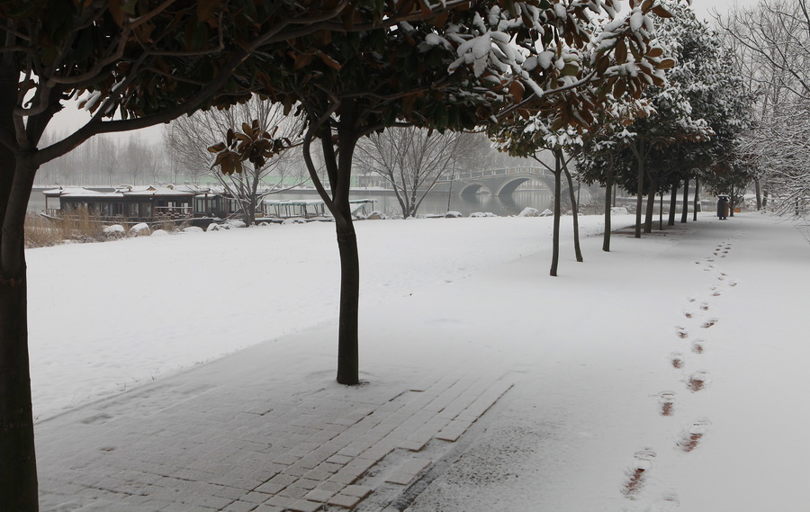 濮上园的雪景也很美
