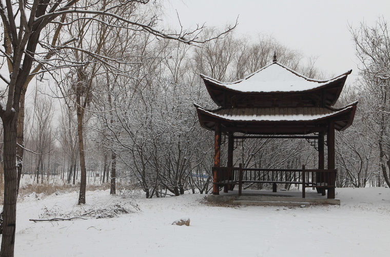 濮上园的雪景也很美