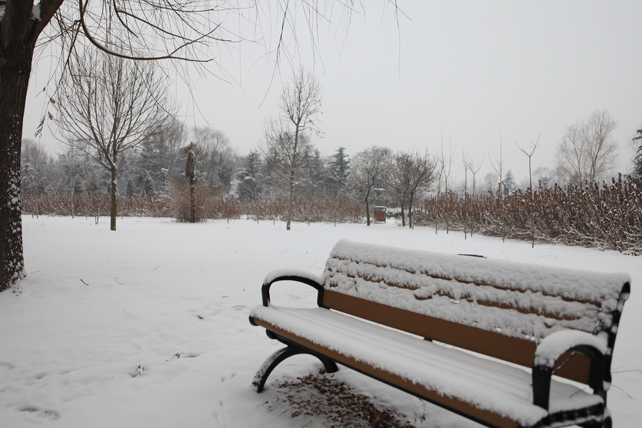 濮上园的雪景也很美