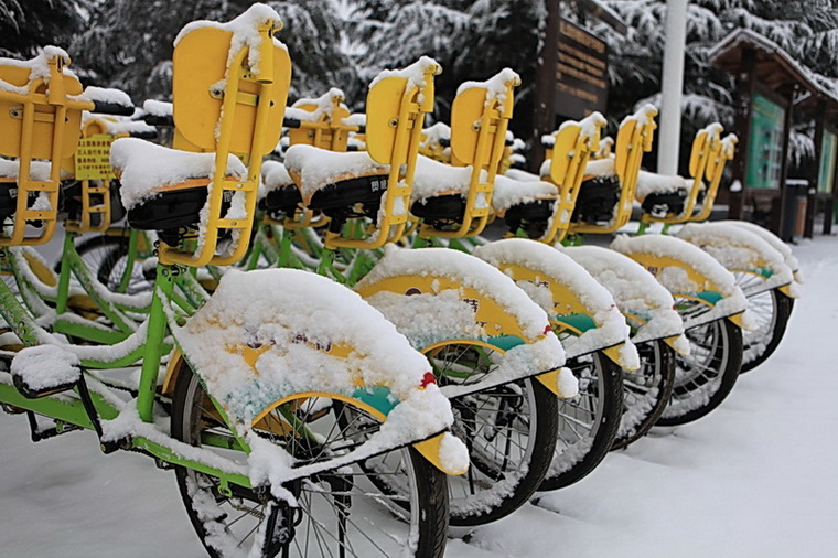 濮上园的雪景也很美